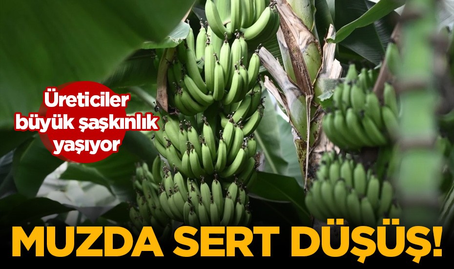 Muzda sert düşüş yaşandı!